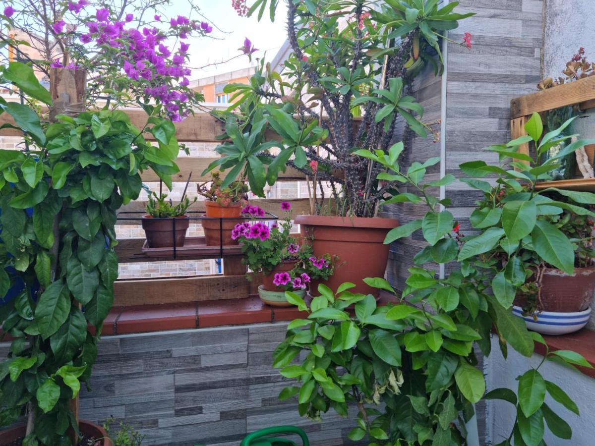 Residenza Lucana Ματέρα Εξωτερικό φωτογραφία