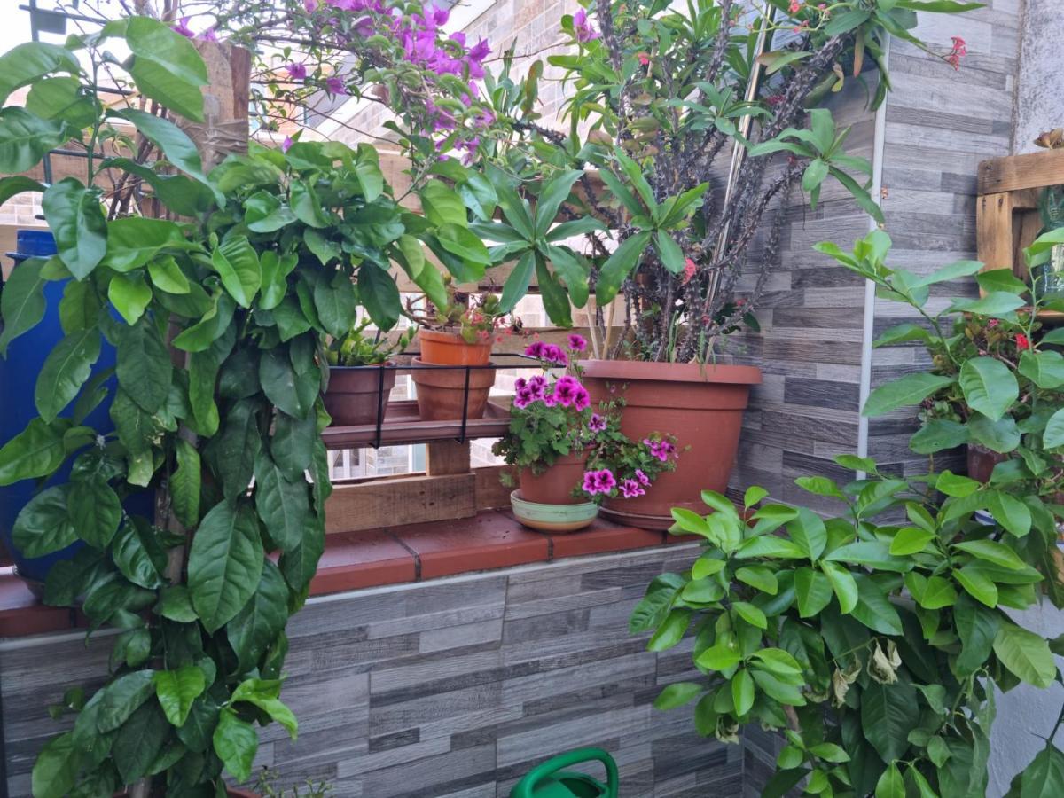 Residenza Lucana Ματέρα Εξωτερικό φωτογραφία